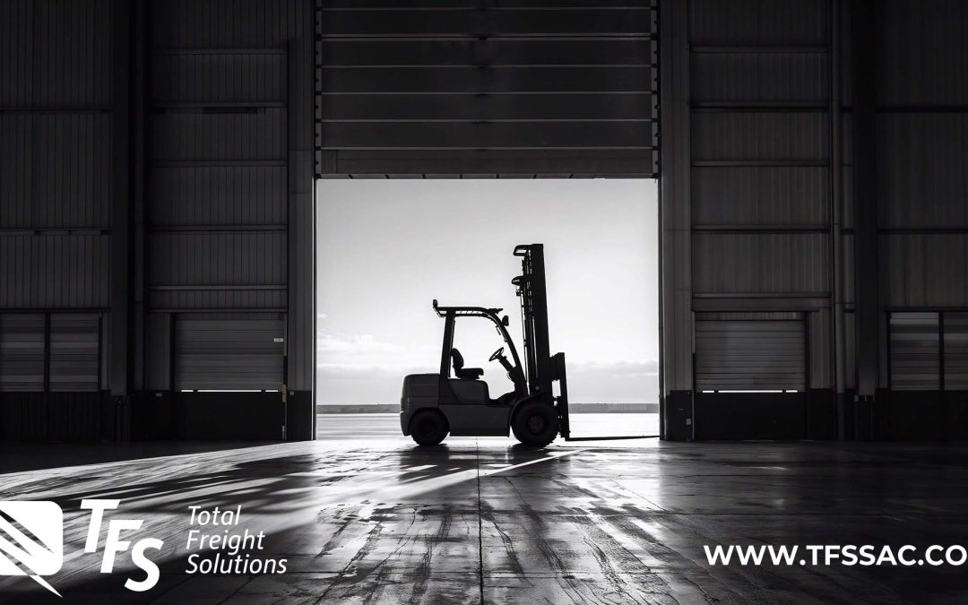 Sacramento Short-Term Storage Solutions for Small Businesses and Online Retailers